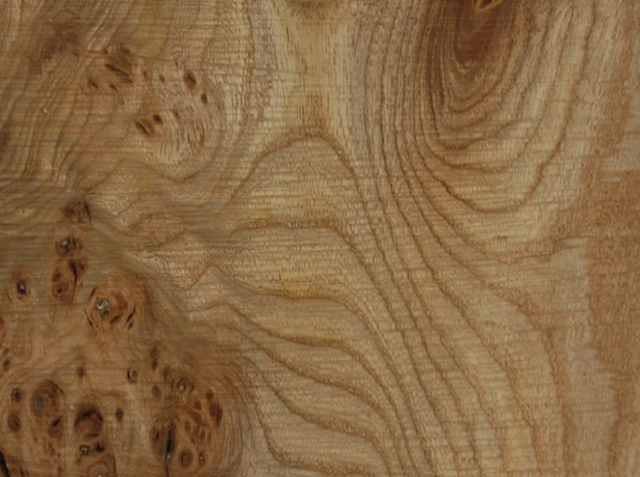 elm wood character grain patterns